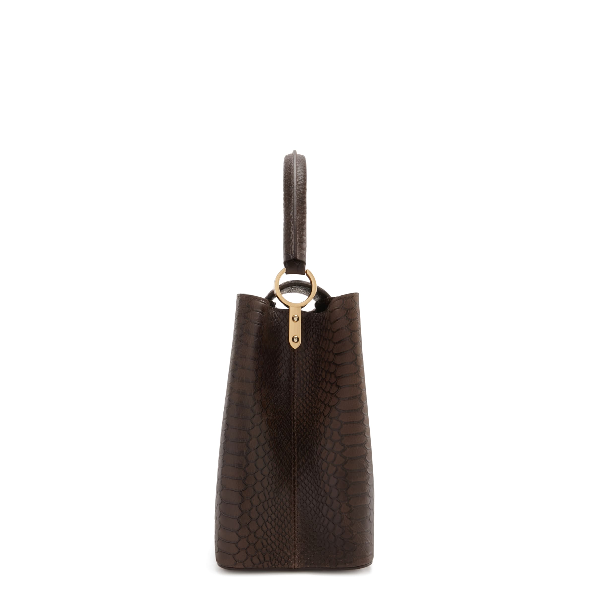 Isabel Bernard Handbag in Brown