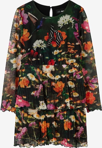 Desigual Dress in Mixed colours: front
