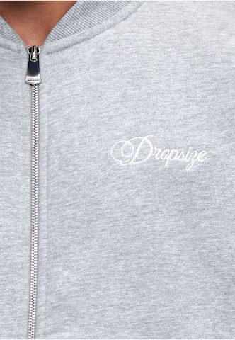 Giacca di felpa di Dropsize in grigio