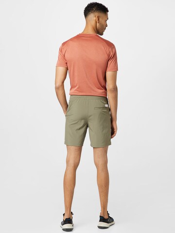 Regular Pantaloni de la HOLLISTER pe verde