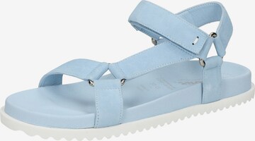 SIOUX Sandals 'Ingemara' in Blue: front