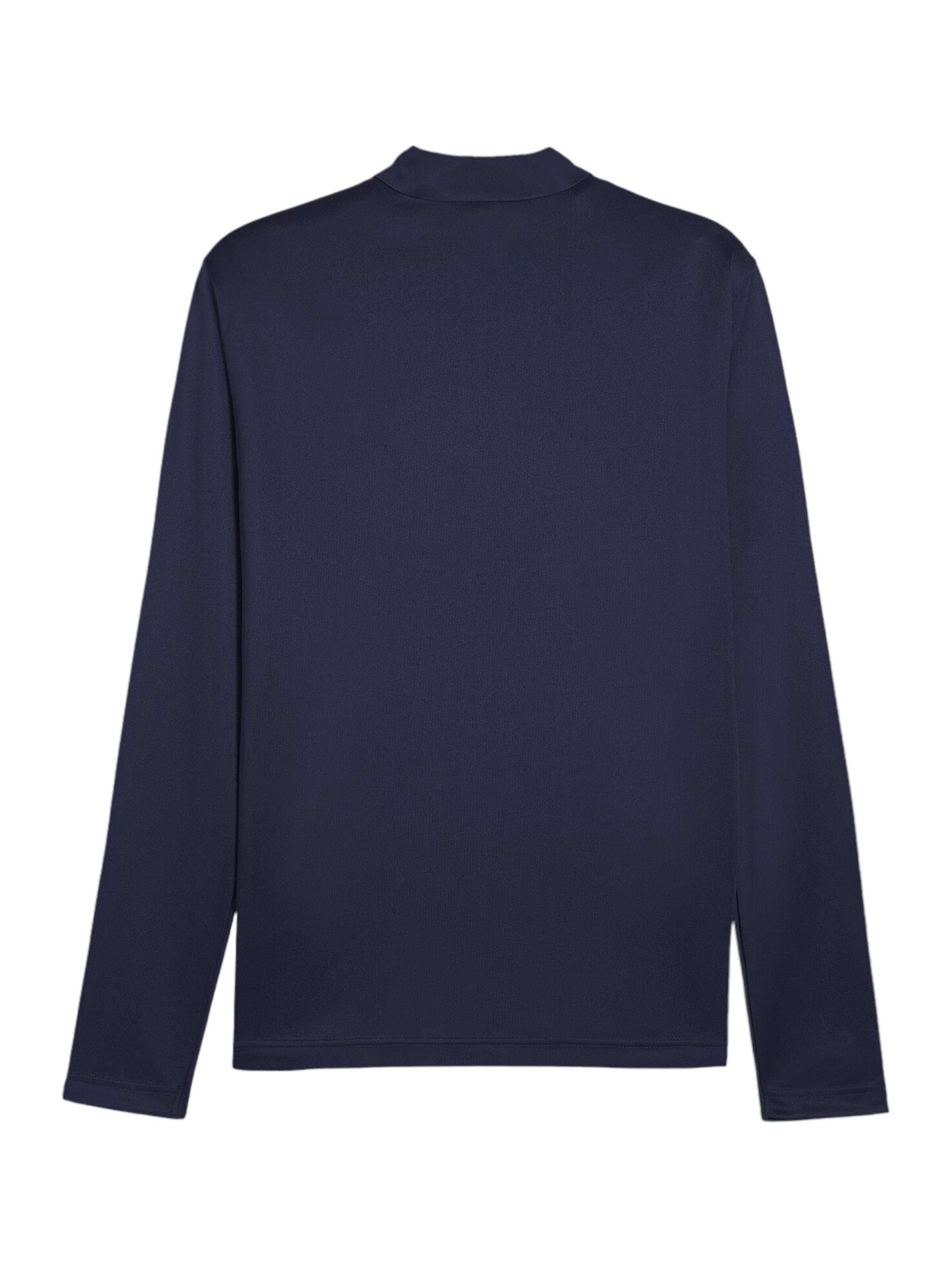 PUMA Performance Shirt 'TeamGoal' in Blue