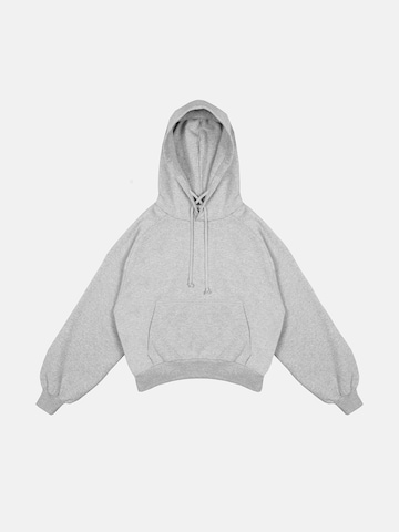 ENRAGE Sweatshirt 'RETRO SWAGAhood' in Grey: front