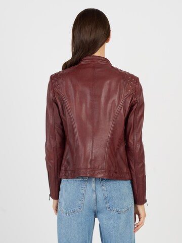 JCC Tussenjas in Rood