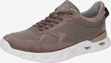 Baskets basses 'Noxolan-701' SIOUX en marron : devant