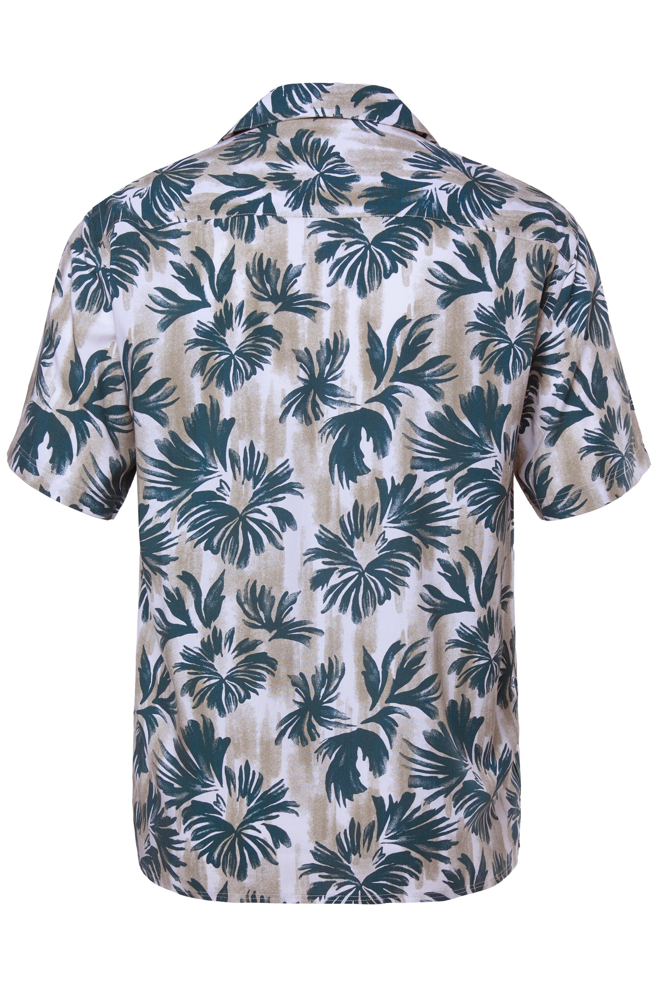 Men Plus Regular fit Button Up Shirt in Green