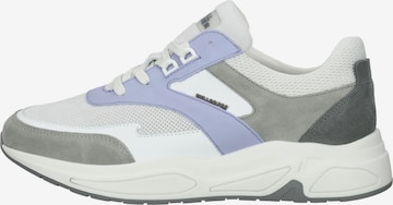 Sneaker bassa di BULLBOXER in grigio