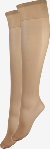 Esda Fine Stockings in Beige