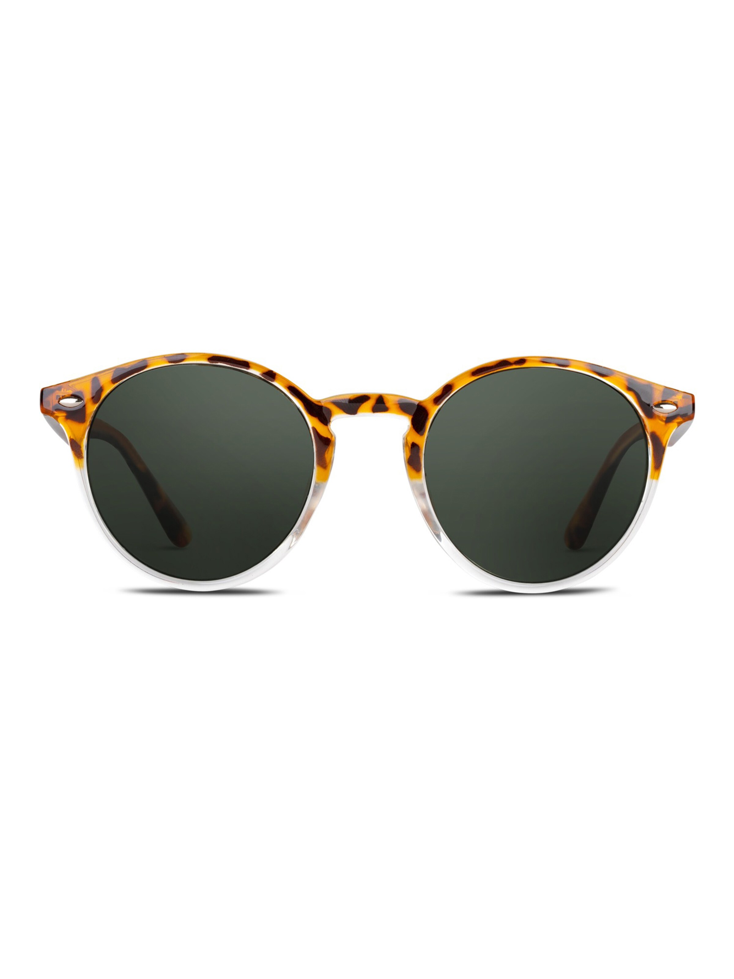 TWIG Concept Milano Sunglasses 'Pollock' in Brown