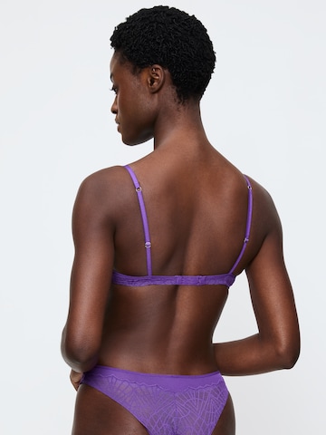 TRIUMPH - Push-up Sujetador 'That Night In Vegas' en lila