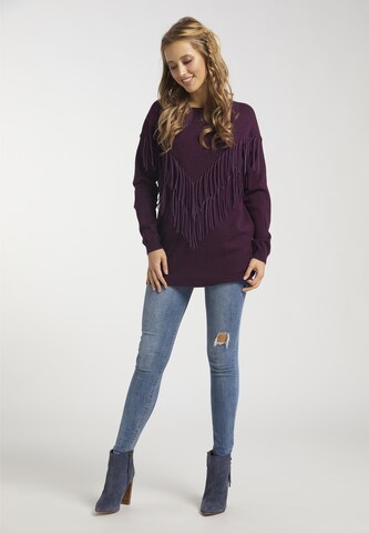 Pull-over usha FESTIVAL en violet