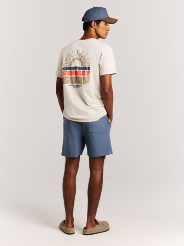 PROTEST Regular Pants 'PRTGraig' in Blue