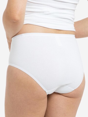 SPEIDEL Panty 'bio.cotton Plus' in White