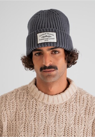 Prohibited Beanie 'Verdant Reverie' in Grey: front