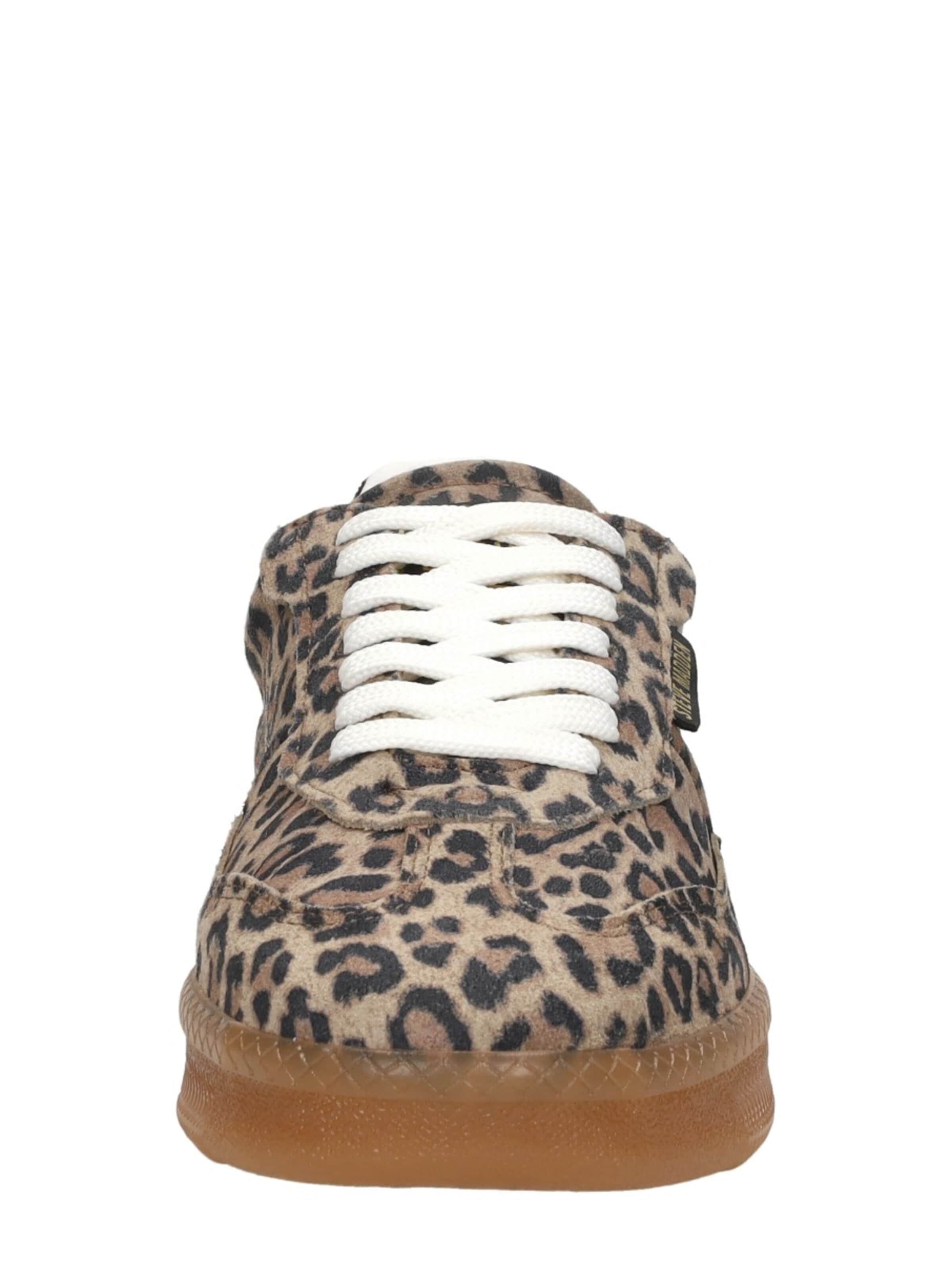 STEVE MADDEN Sneakers 'Euphoria' in Brown