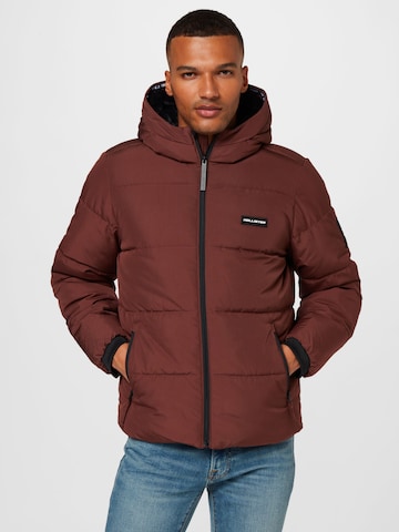 HOLLISTER Winter Jacket in Brown: front