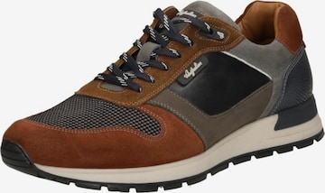 Australian Sneakers laag 'Glastonburry' in Bruin: voorkant