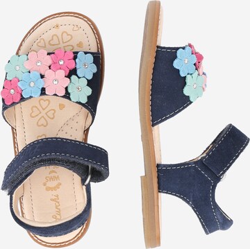 LURCHI Sandals in Blue