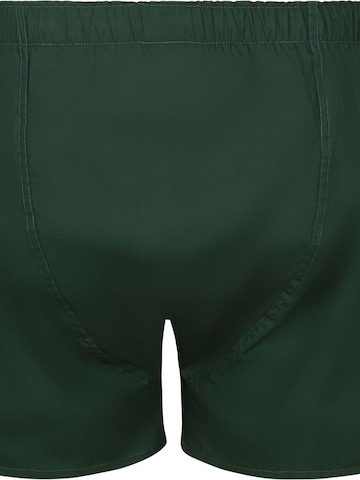 Boxers Steppin' out en vert