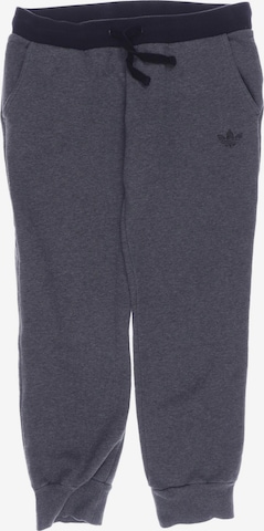 ADIDAS ORIGINALS Pants in XL in Grey: front