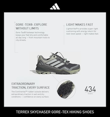 ADIDAS TERREX Flats 'Skychaser' in Grey