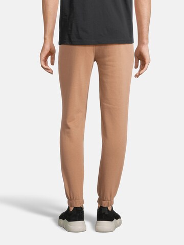 AÉROPOSTALE Tapered Trousers in Beige