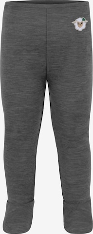 normani Underpants 'Silverdale' in Grey: front