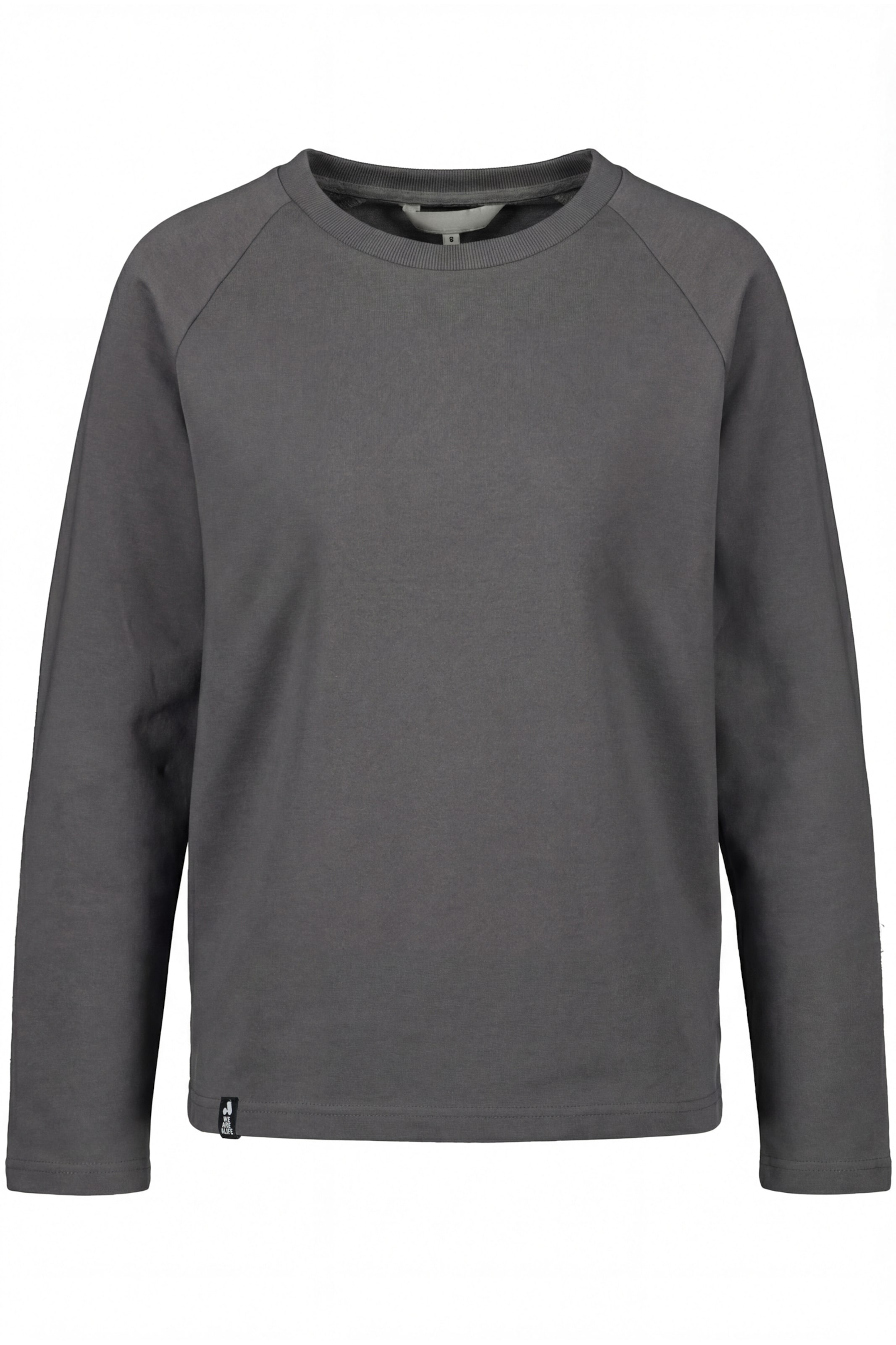 Felpa 'MarciaAK A' di alife & kickin in grigio: frontale