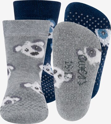 EWERS Socks in Blue: front
