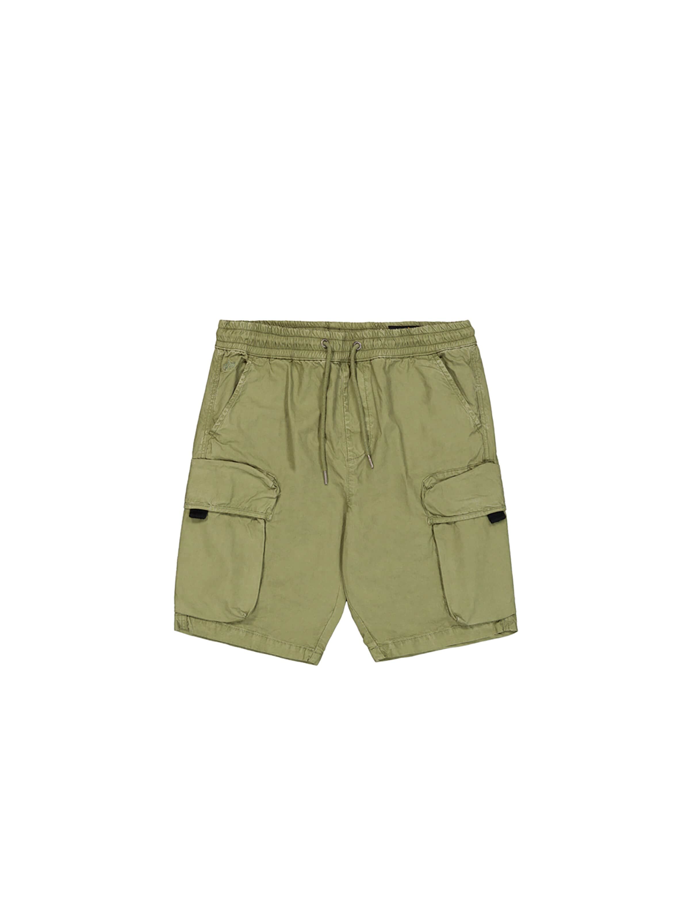 ALPHA INDUSTRIES Regular Pants 'Division' in Green: front
