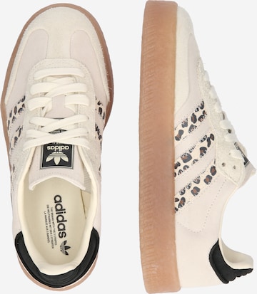 ADIDAS ORIGINALS Sneakers SAMBAE in Wool White ABOUT YOU