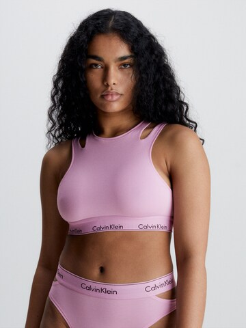 Calvin Klein Underwear Bralette Bra in Purple: front