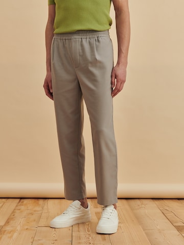 regular Pantaloni 'Liam' di DAN FOX APPAREL in grigio: frontale