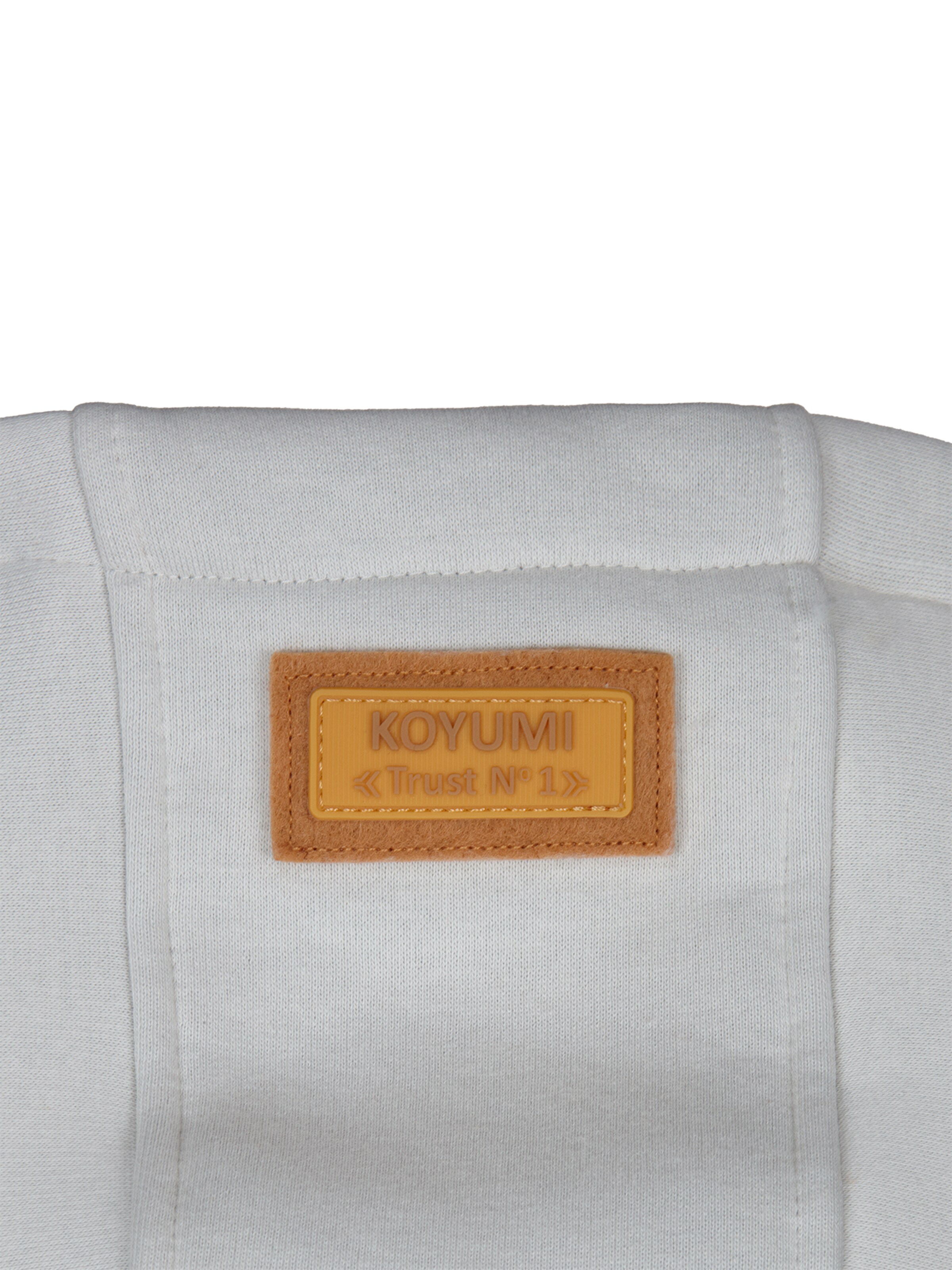 Koyumi Sweatshirt 'Break Your Neck' in Grey