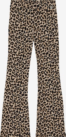 WE Fashion Retuusid, värv pruun: eest vaates