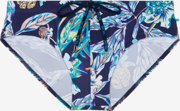 Maillot de bain 'Paradisio Mini' HOM en bleu : devant