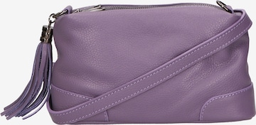 Borsa a tracolla di Gave Lux in lilla: frontale