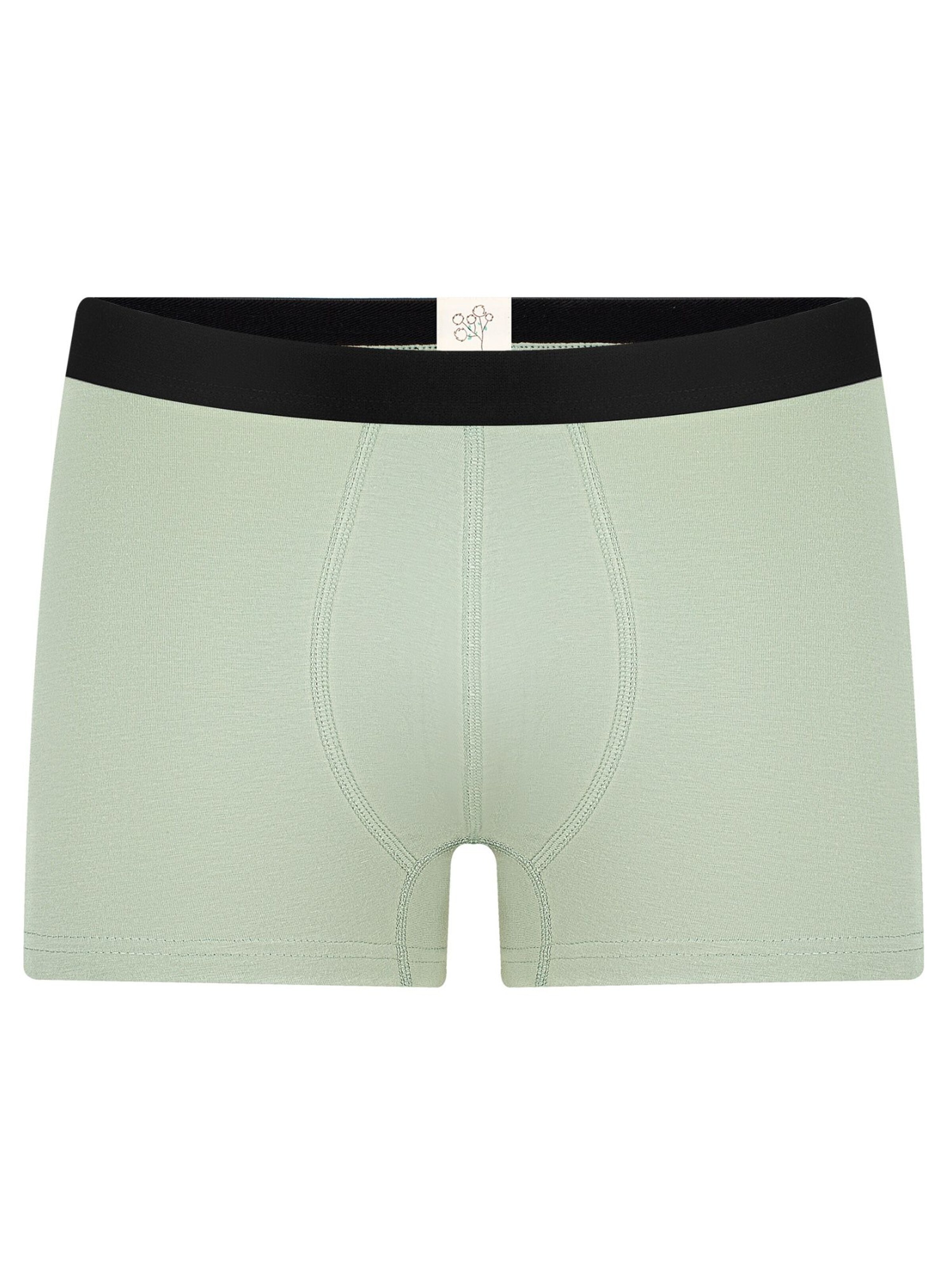 Albero Natur Boxershorts 'Herren Trunkshorts aus Bio-Baumwolle'‌‌ in Grün: Vorderseite