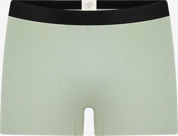 Albero Natur Boxershorts 'Herren Trunkshorts aus Bio-Baumwolle' in Grün: Vorderseite