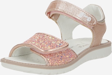 PRIMIGI Sandals in Pink: front