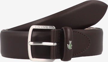 LACOSTE Gürtel in Braun: Vorderseite