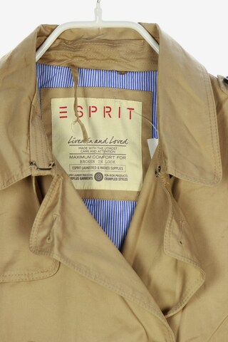 ESPRIT Jacket & Coat in L in Beige