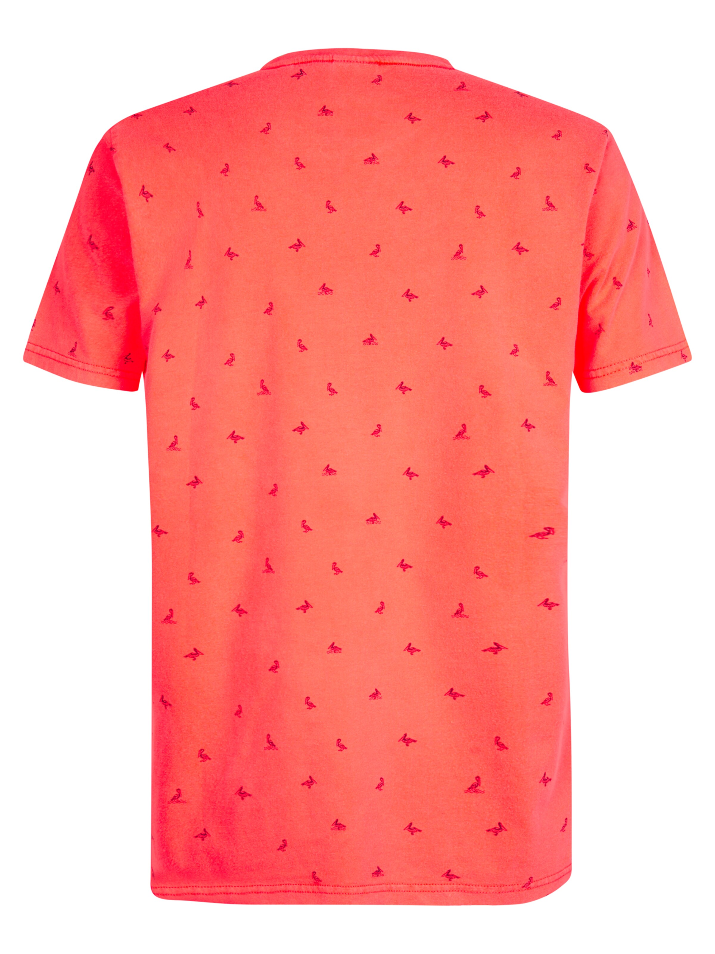 Petrol Industries Shirt 'Doral' in Pink