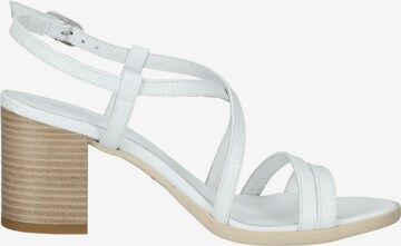 Nero Giardini Strap Sandals in White