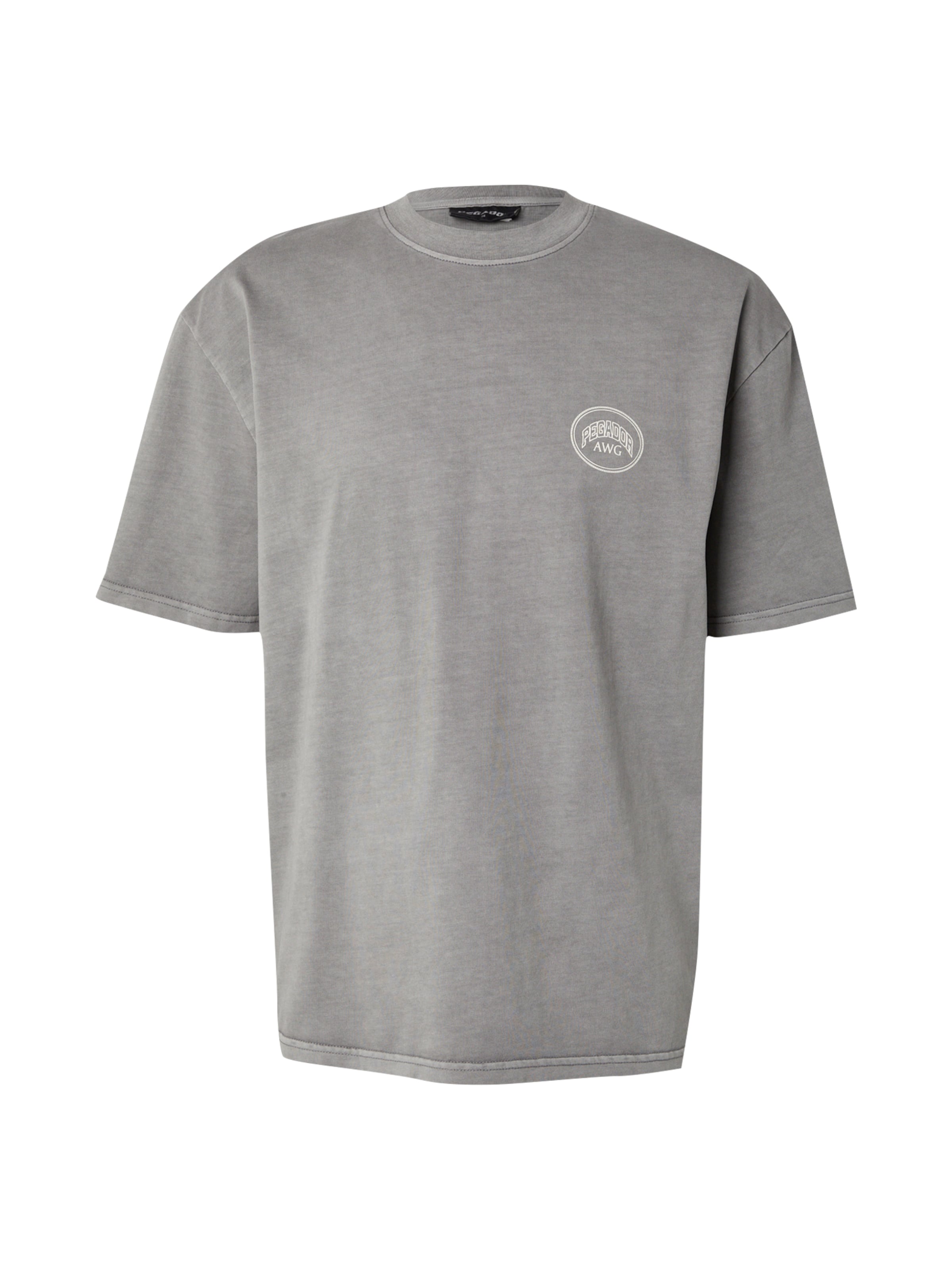 Pegador Тениска 'COLSON' в сиво: отпред