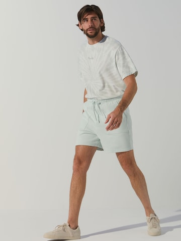 ABOUT YOU x Alvaro Soler Regular Pants 'Timur' in Green