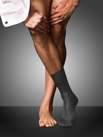 FALKE Socks 'No. 15 Finest Supima Cotton' in Grey: front