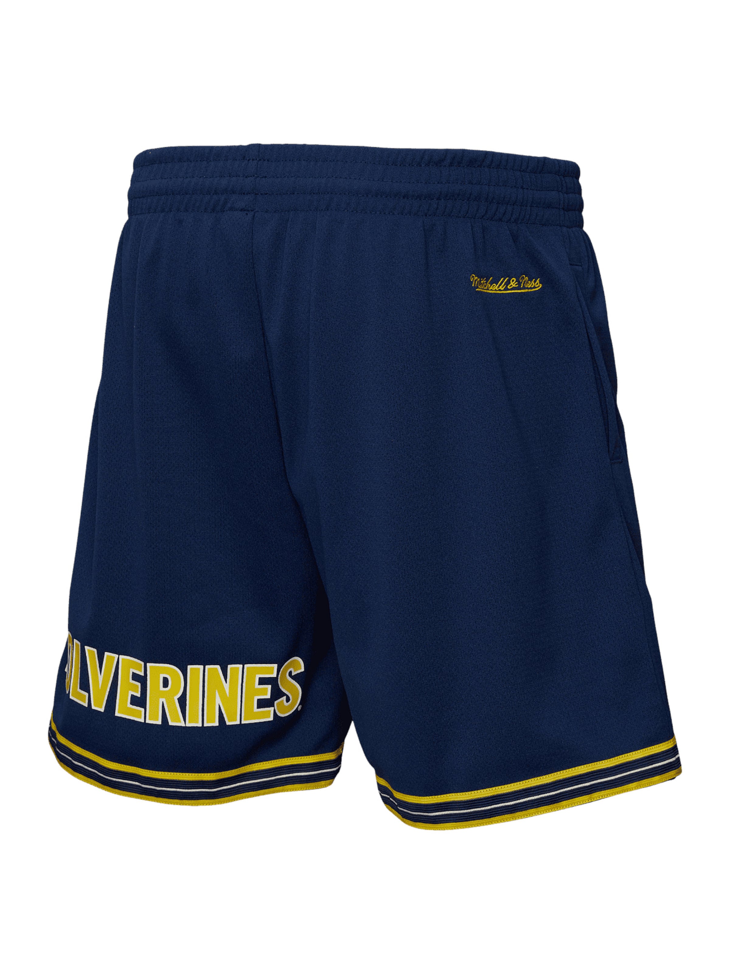 zils Mitchell & Ness Standarta Sporta bikses