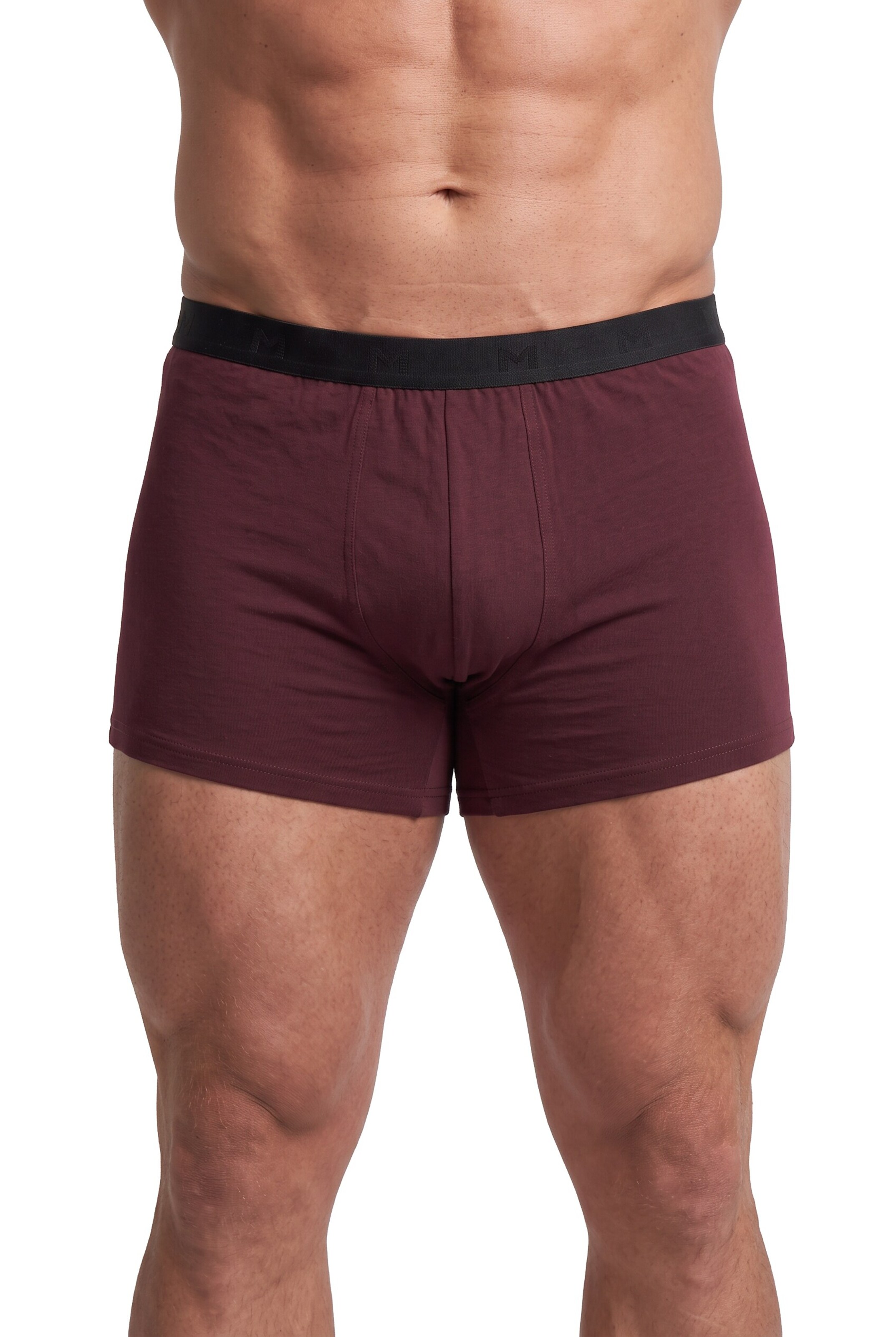 Men Plus Slip in Blau