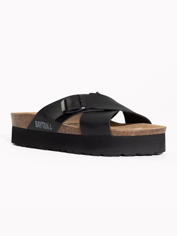 Bayton Mules 'Ajax' in Black